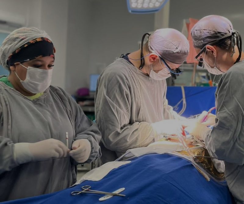 Cirurgia cardíaca em Santa Catarina 