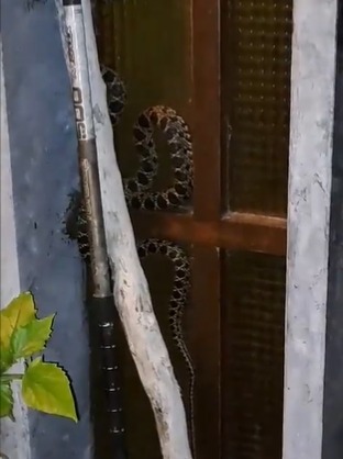  O vídeo foi publicado no Twitter do morador e vários internautas brincaram com o local ele mora 