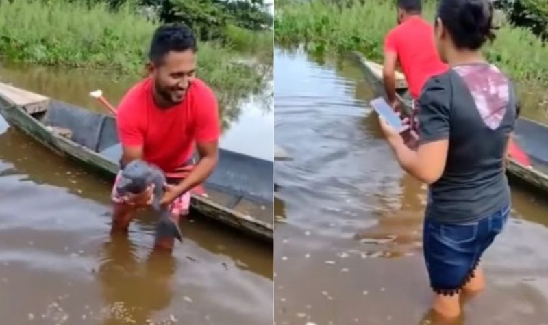 Boto selvagem foi resgatado por ribeirinhos e voltou ao seu habitat natural, próximo de sua mãe - Foto: Redes Sociais/Divulgação/ND