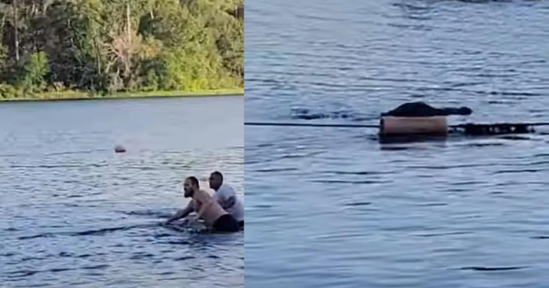 Pais das crianças que estavam na água tentam aos berros impedir um ataque iminente de um crocodilo em um rio