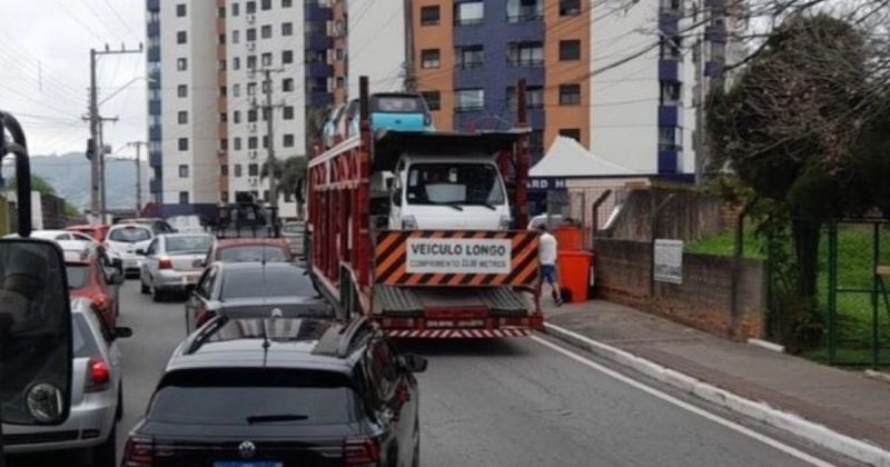 Cegonha causa congestionamento na cabeceira da Ponte 
