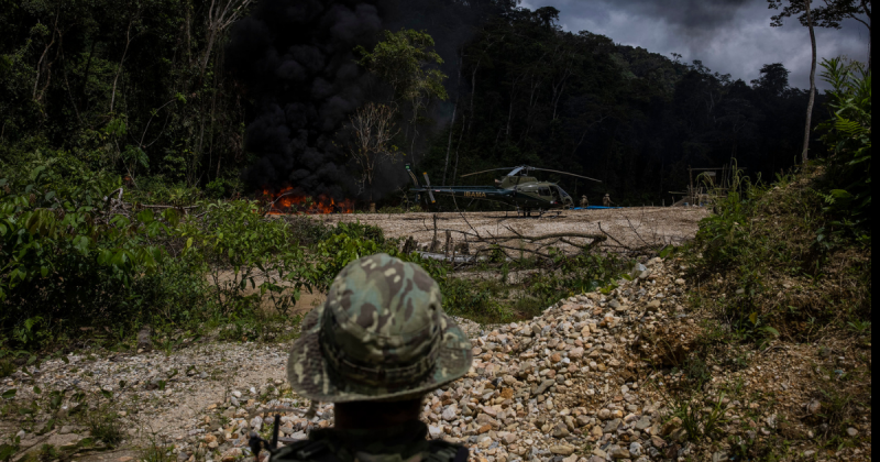 Dia da Amazônia, organizações lembram a urgência de preservação desse bioma, principal floresta tropical do mundo.