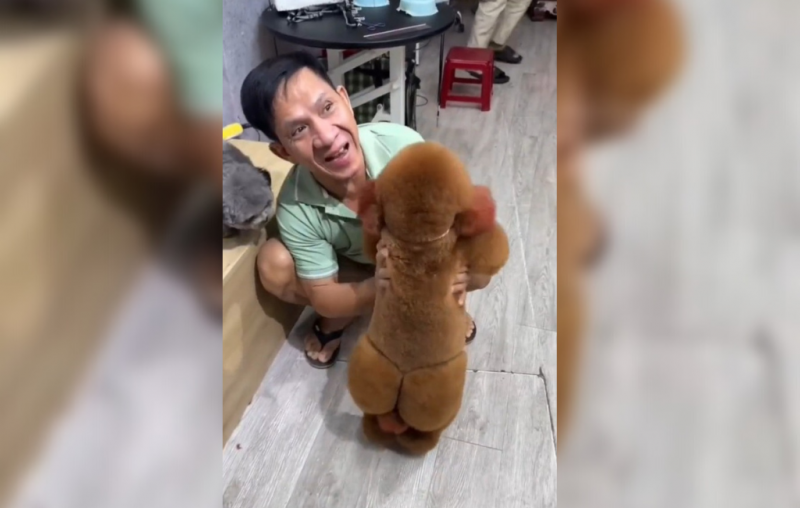 Cachorro com bumbum na nuca