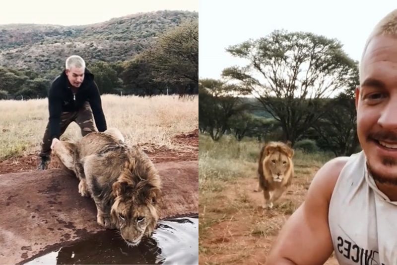 Leão com o influenciador, um dando susto no outro