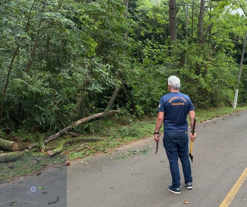 Defesa Civil atendeu a ocorrência relacionada ao vento nesta sexta-feira