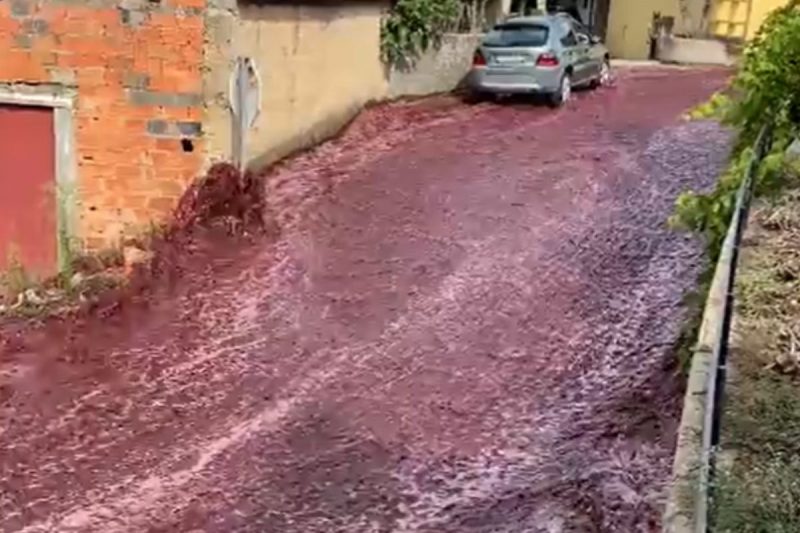 Rio de vinho tomou as ruas da cidade portuguesa 