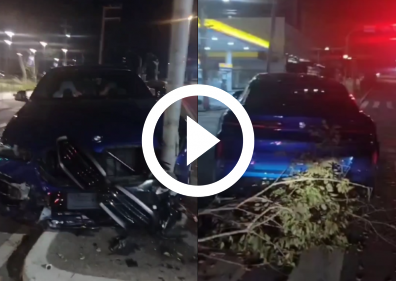 BMW invadiu canteiro, derrubou &aacute;rvore e colidiu com poste em Florian&oacute;polis – Foto: GMF/Divulga&ccedil;&atilde;o/ND