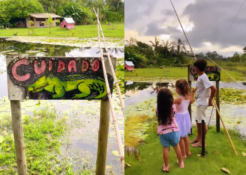 Pousada da Grande Florianópolis innovates its pet mascot and “adopts” an alligator – Photo: @pousadaareiasdoembau/Instagram/Reproduction/ND