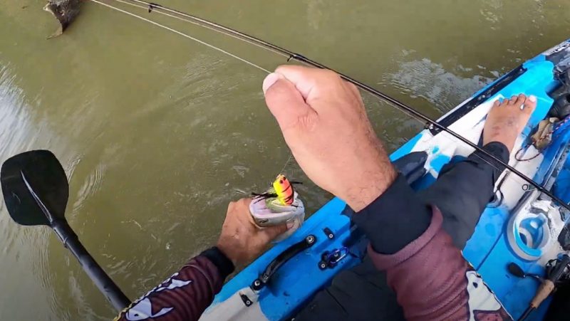 Pescador tira o peixe conhecido como sulamba, ou macaco-d'água, do rio