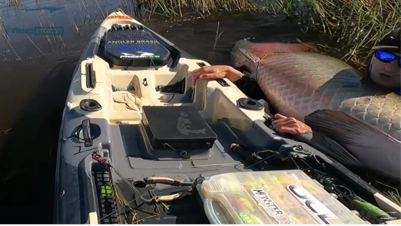 Pescador usa suas &uacute;ltimas for&ccedil;as para erguer o peixe gigantesco – Foto: Reprodu&ccedil;&atilde;o