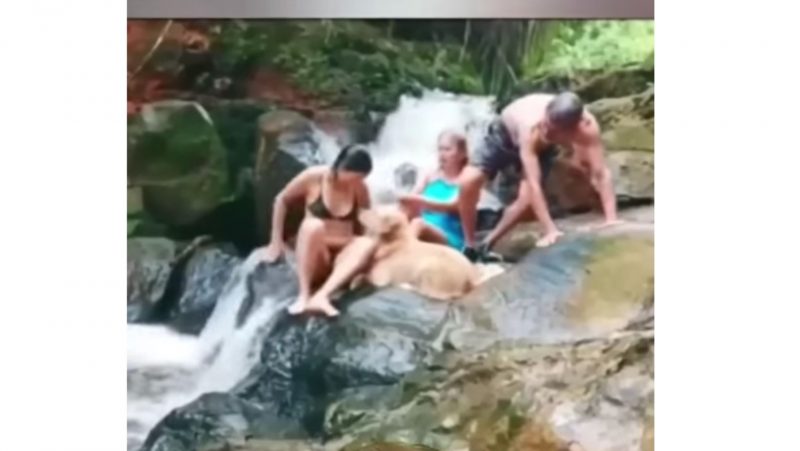 The snake stumbled upon the girl while swimming in the waterfall.  Photo: Reproduction.