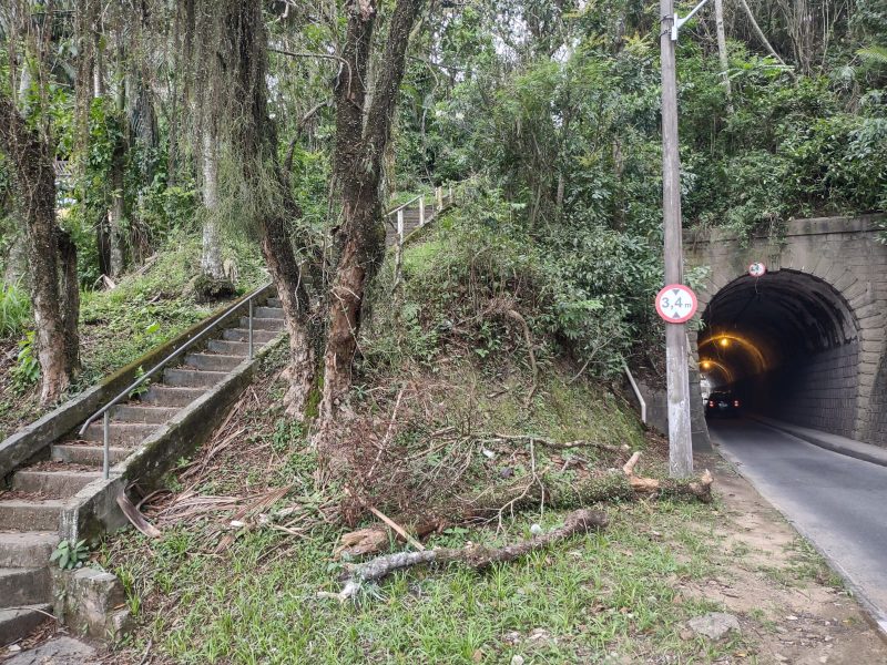 Estupro ocorreu na segunda-feira (25), em Blumenau, em plena luz do dia 