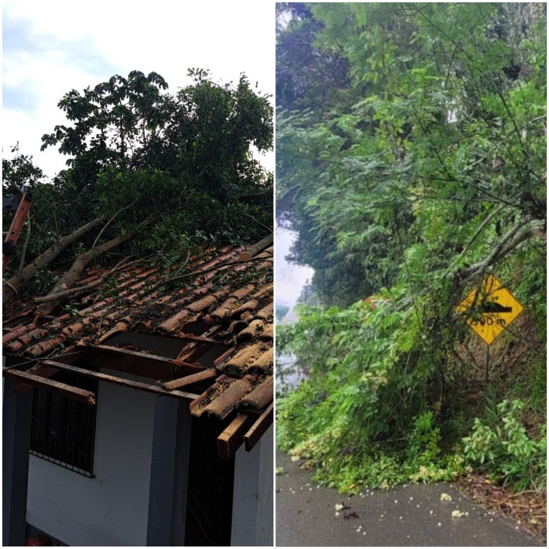 Forte chuva deixa rastro de estragos no Vale do Itajaí