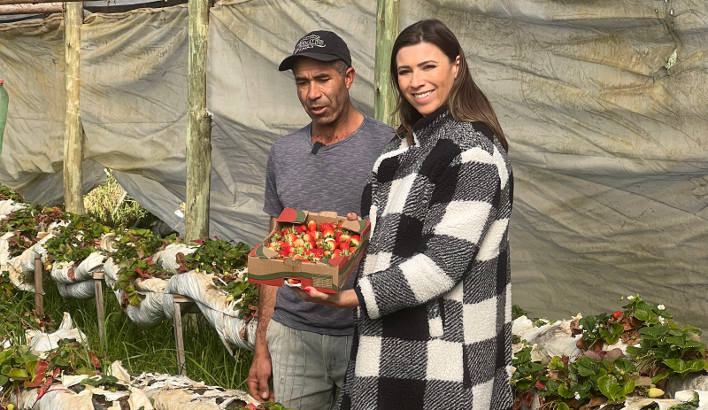 Foto: Destino SC Inverno/Divulga&ccedil;&atilde;o