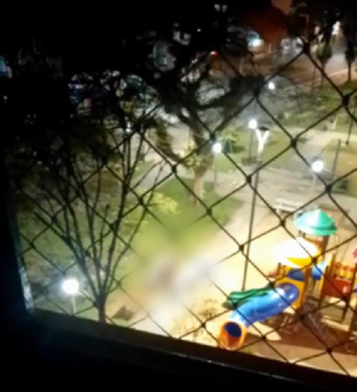 Delegado confirmou abertura de inquérito para identificar e punir casal flagrado em vídeo divulgado nas redes sociais recentemente - Foto: Redes Sociais/Divulgação/ND