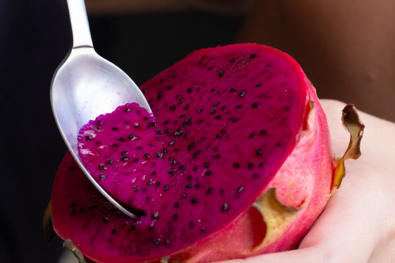 A safra da pitaia gerou um movimento de R$ 15 milh&otilde;es na economia de Santa Catarina – Foto: Divulga&ccedil;&atilde;o