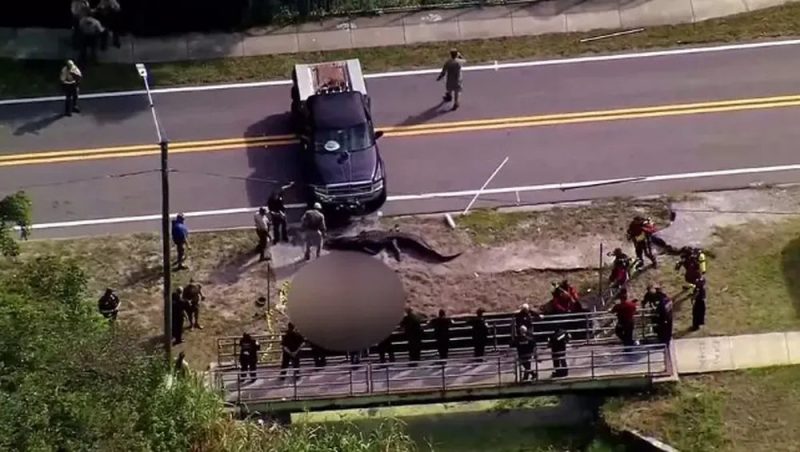 Jacaré sacrificado por agentes após ser avistado com corpo de mulher na mandíbula