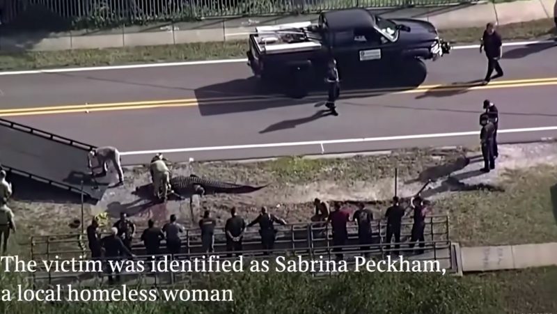 Corpo da mulher estava na boca do enorme r&eacute;ptil – Foto: Reprodu&ccedil;&atilde;o