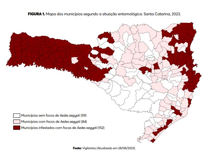 Dengue em Santa Catarina 