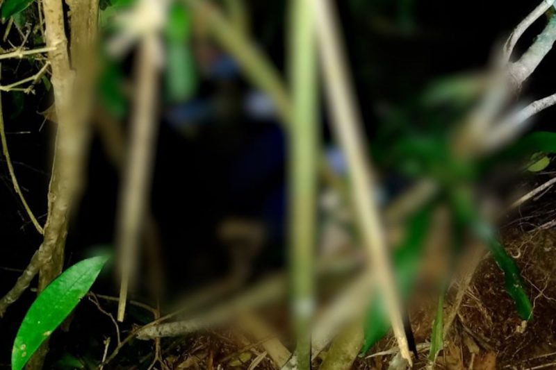 Local de difícil acesso onde foram encontradas as mulheres