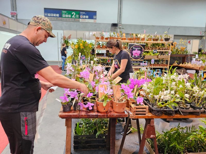 A festa das orquídeas, a Orquifest 2023, ocorre no Parque Vila Germânica, de 6 a 10 de setembro 