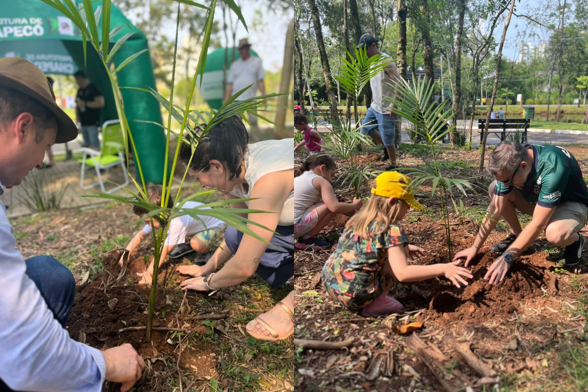 Ecoparque recebe novas árvores em plantio coletivo de mudas em Chapecó. - PMC/Reprodução/ND