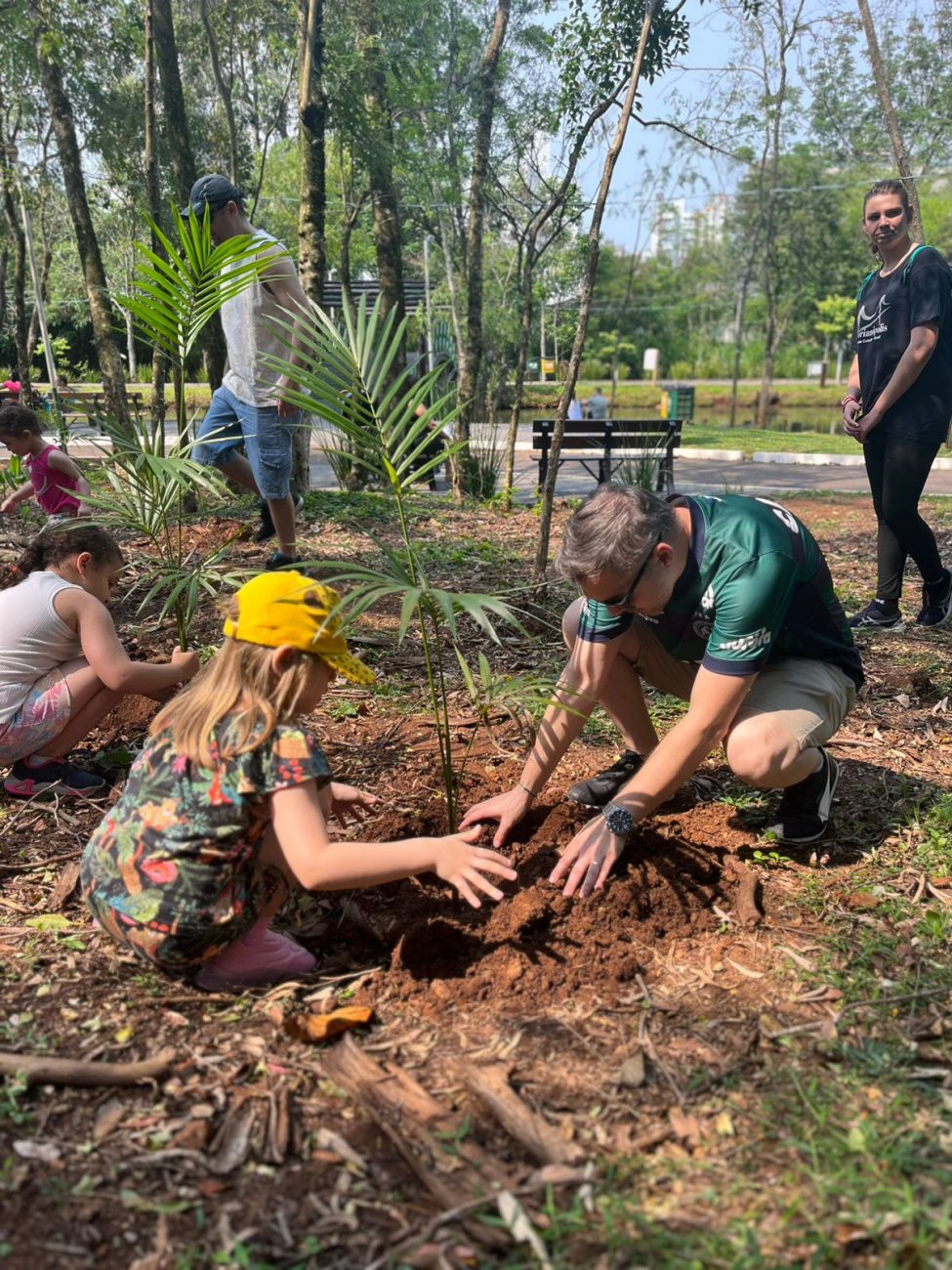 No total são 20 unidades do palmito Juçara, que é uma palmeira bastante comum no litoral catarinense, mas com pouca ocorrência no Oeste. - PMC/Reprodução/ND