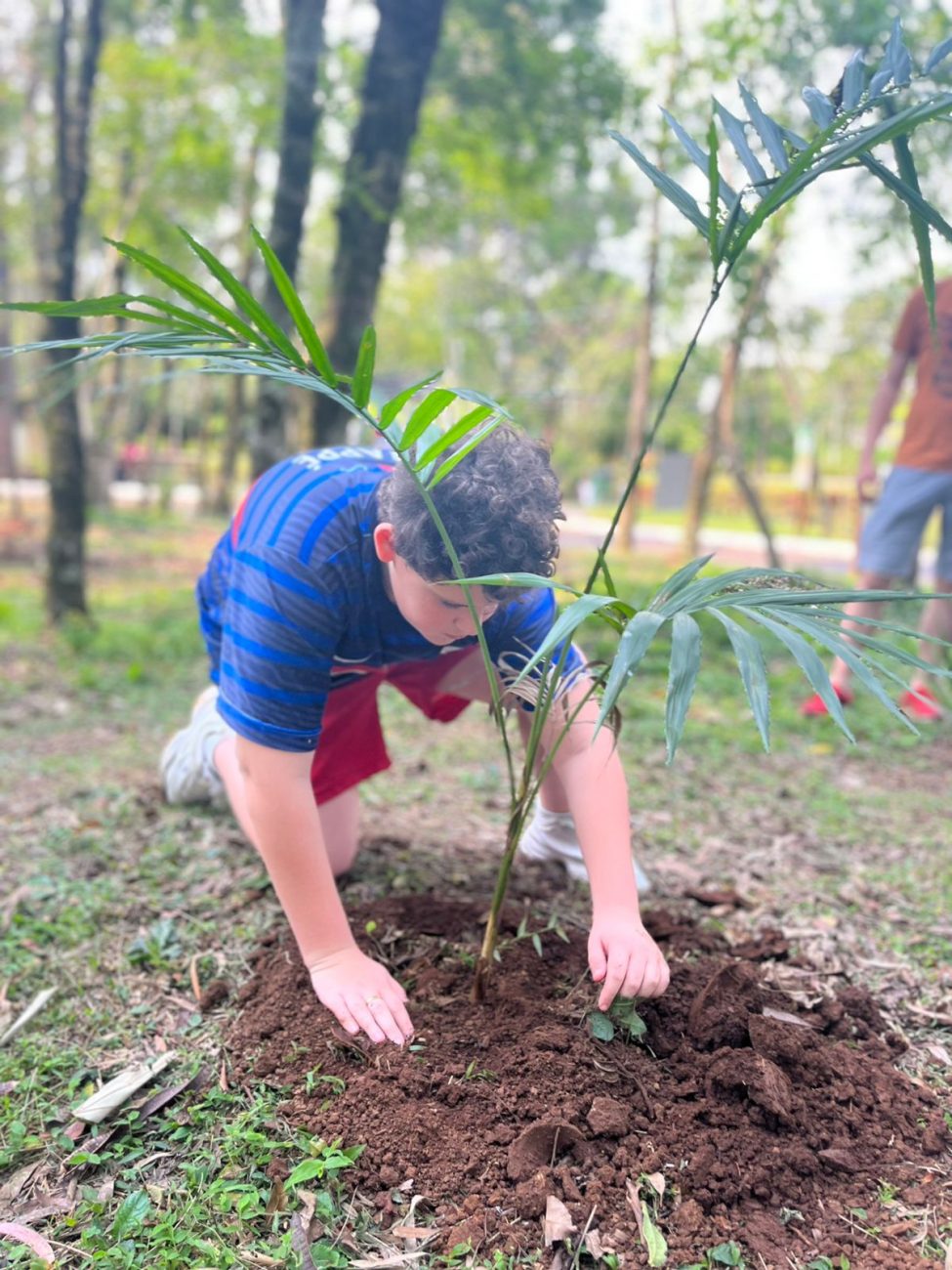 O contato da comunidade com a natureza e preservação do ambiente é fundamental.  - PMC/Reprodução/ND