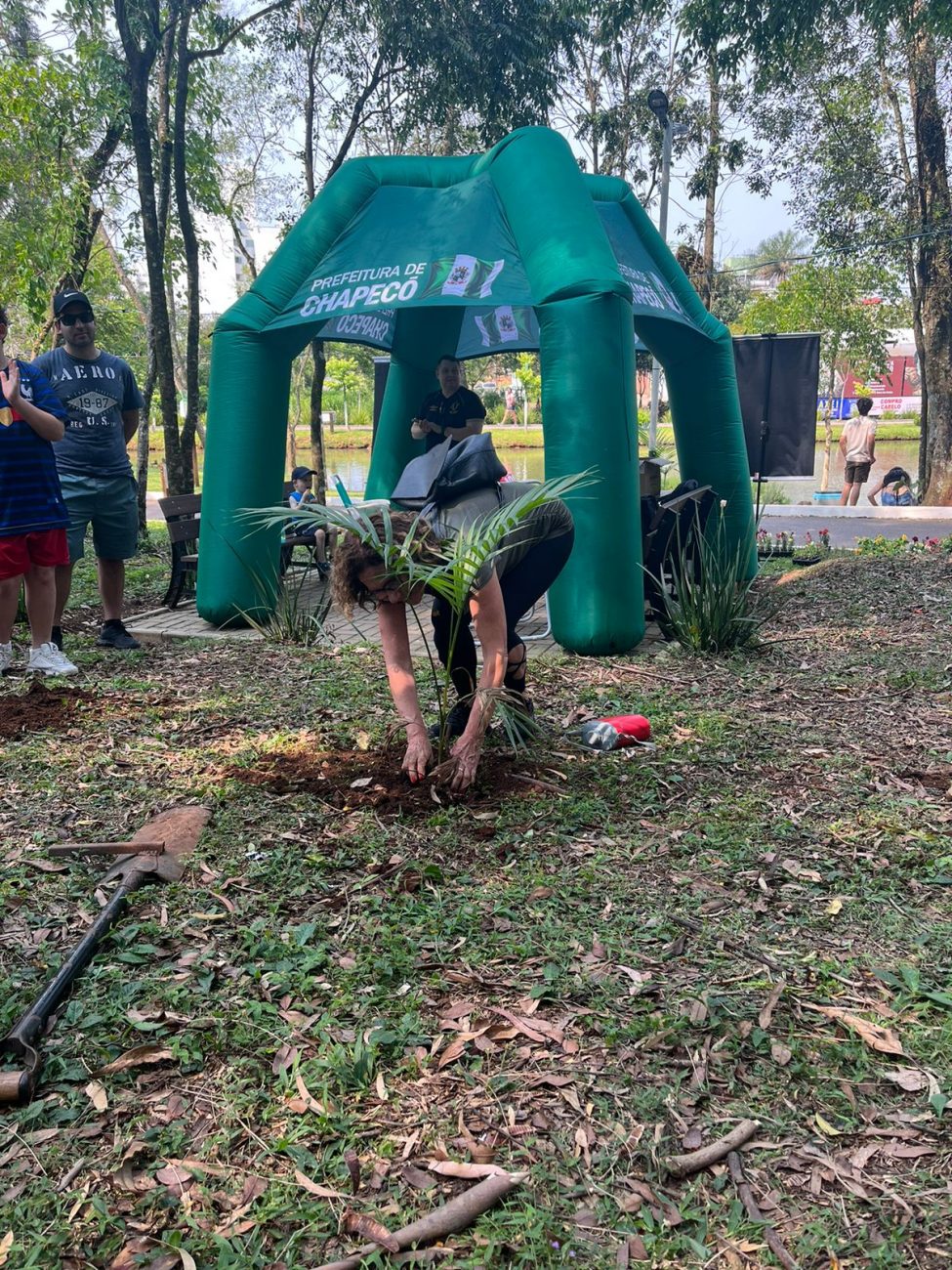 O objetivo da atividade, que comemora o 'Dia da Árvore' e a chegada da Primavera, é colaborar com a preservação do palmito Juçara, em um espaço público, onde as pessoas possam ter contato e conhecer a espécie. - PMC/Reprodução/ND