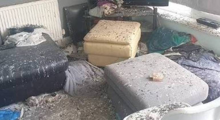 Uma janela do apartamento ficou aberta por cerca de quatro semanas e os pombos destruíram todos os cômodos da casa 