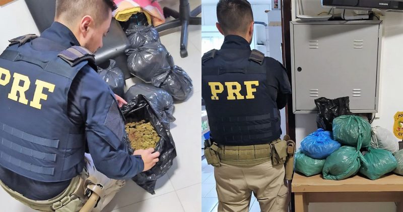 Suspeito tentava levar a droga para Florian&oacute;polis – Foto: PRF/Divulga&ccedil;&atilde;o/ND