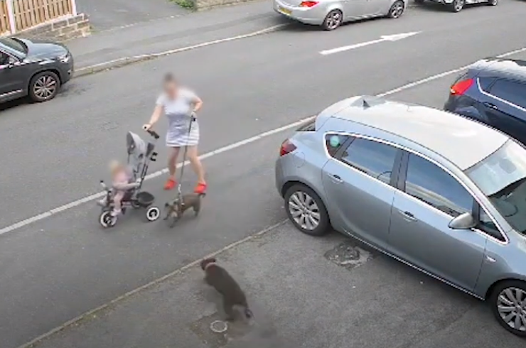 Ao ver animal de estima&ccedil;&atilde;o, c&atilde;o se aproximou violentamente. – Foto: South Yorkshire Police/Reprodu&ccedil;&atilde;o/ND