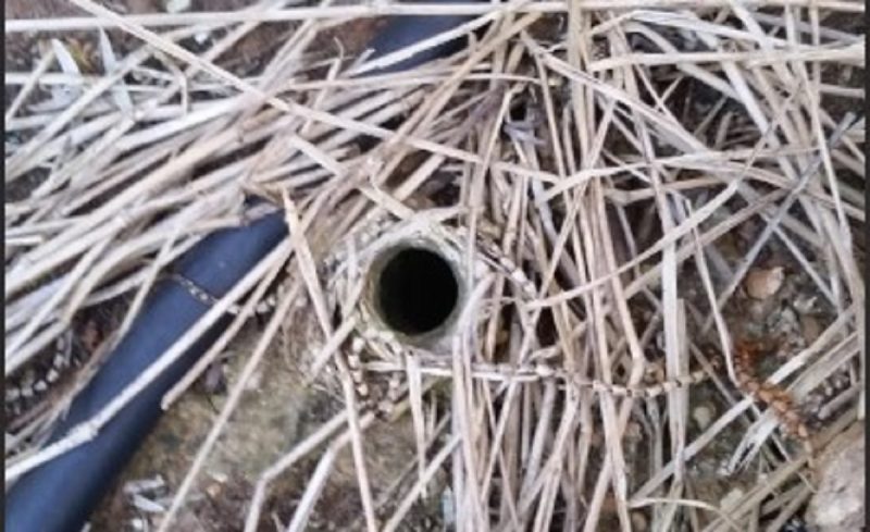 Homem encontrou buraco estranho no quintal de casa na Austr&aacute;lia – Foto: Reprodu&ccedil;&atilde;o/ Reddit