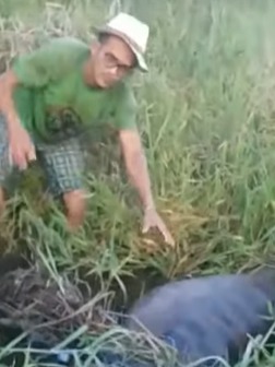 In the video, a man can be seen caressing an anaconda that was partially underwater. 