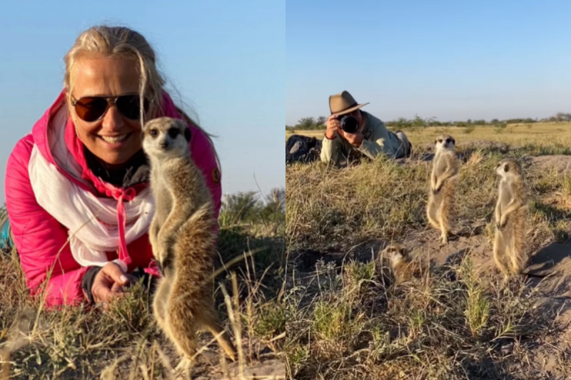 Os suricatos s&atilde;o animais encantadores e muito simp&aacute;ticos. – Foto: Janusz Galka Milesaway Travel/Reprodu&ccedil;&atilde;o/ND