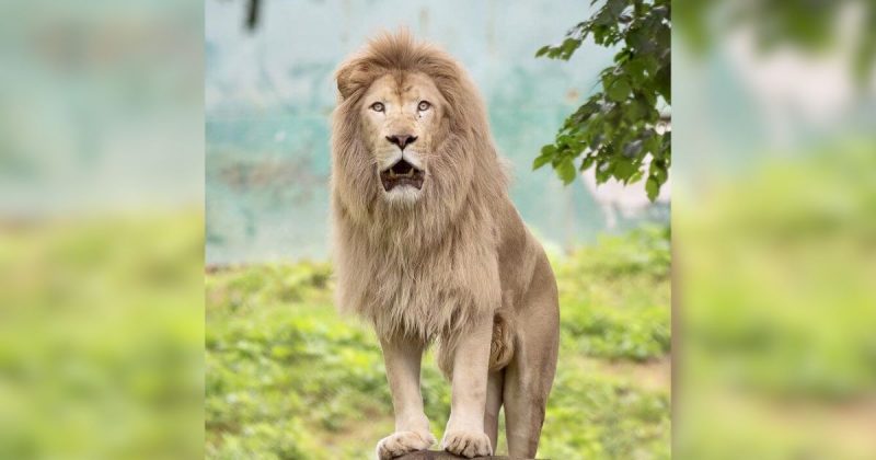 Funcionário tinha 57 anos