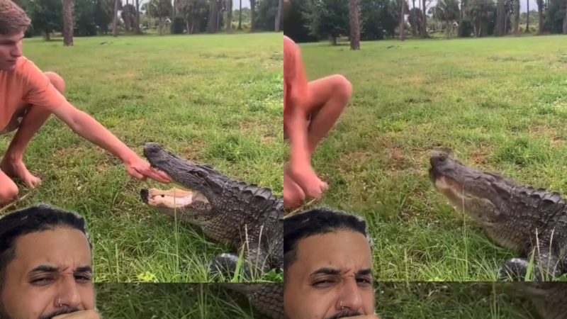 Jacaré é desafiado por brincalhão e quase sai com lanche na boca