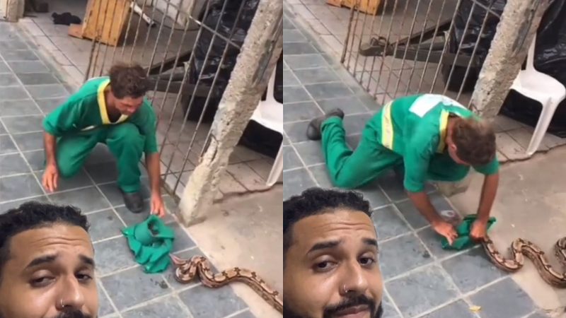 Jiboia ensina lição a homem que tentava capturá-la sem as manhas