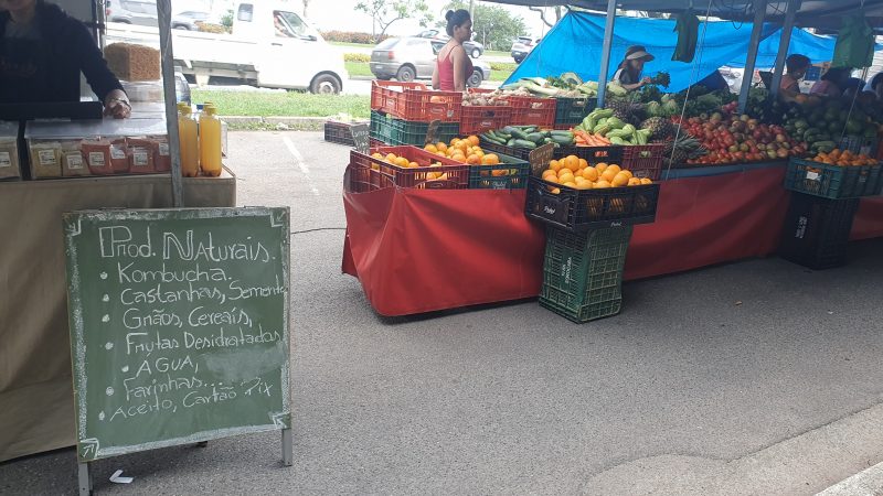 Feira Org&acirc;nica da Beira Mar – Foto: Jullia Gouveia