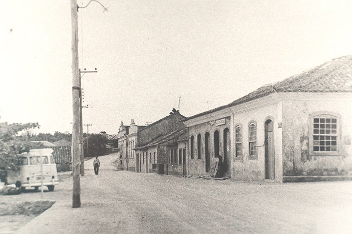 Antes locais com mata viraram grandes plantações fazendo o bugio-ruivo sumir 