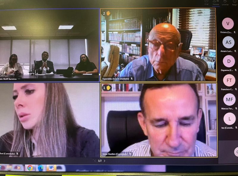 Bancada federal reunida com a Defesa Civil Nacional – Foto: Reprodu&ccedil;&atilde;o/ND