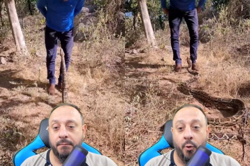 Cobra poderia ter dado bote nas partes íntimas do Rei das Serpentes