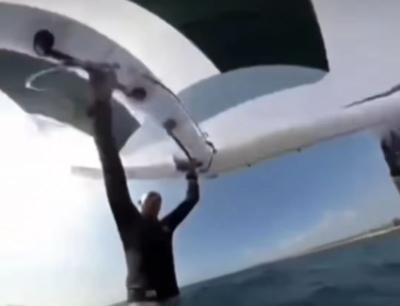 Baleia atropela windsurfista e vídeo viraliza