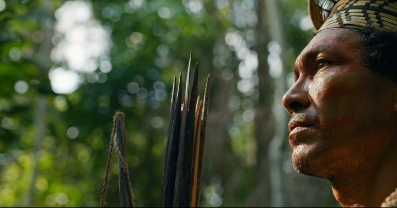 Cena do document&aacute;rio “Bioc&ecirc;ntricos”, de Fernanda Heinz Figueiredo – Foto: Divulga&ccedil;&atilde;o