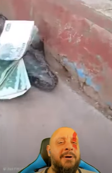 Biólogo compartilhou o vídeo de uma cobra aparentemente carregando algumas notas de dinheiro