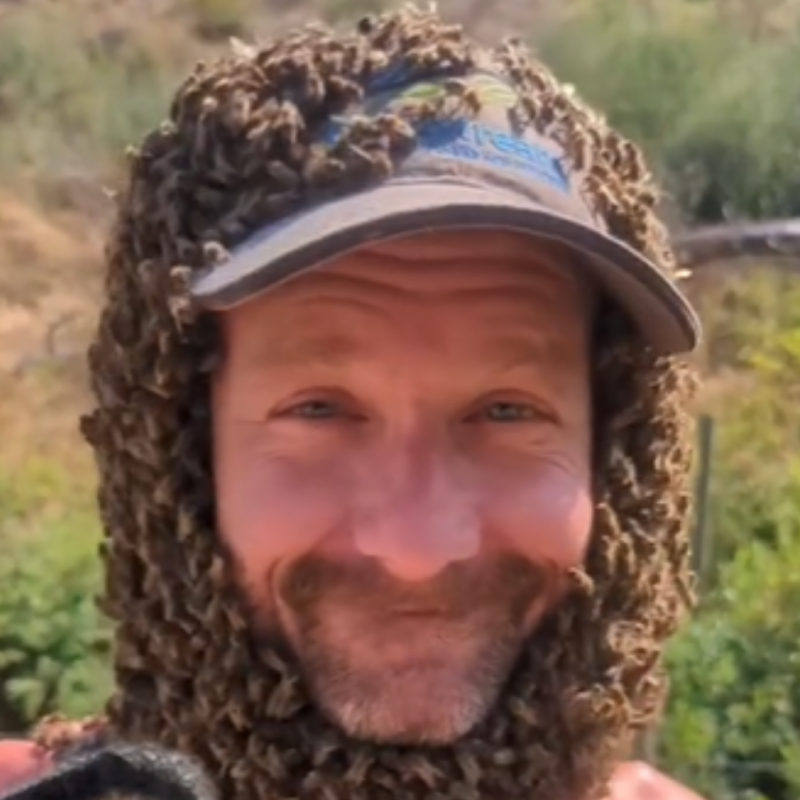 Na "última moda", abelhas foram usadas como barba e viraram nova tendência na internet 