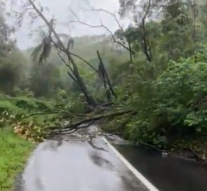 V&Iacute;DEO: Trecho da BR-470 fica interditada ap&oacute;s deslizamentos de terra na pista no Alto Vale – Foto: Divulga&ccedil;&atilde;o/Reprodu&ccedil;&atilde;o/ND