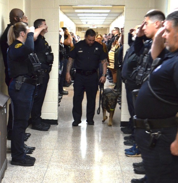 Cachora candy serviu por quase 10 anos à polícia 