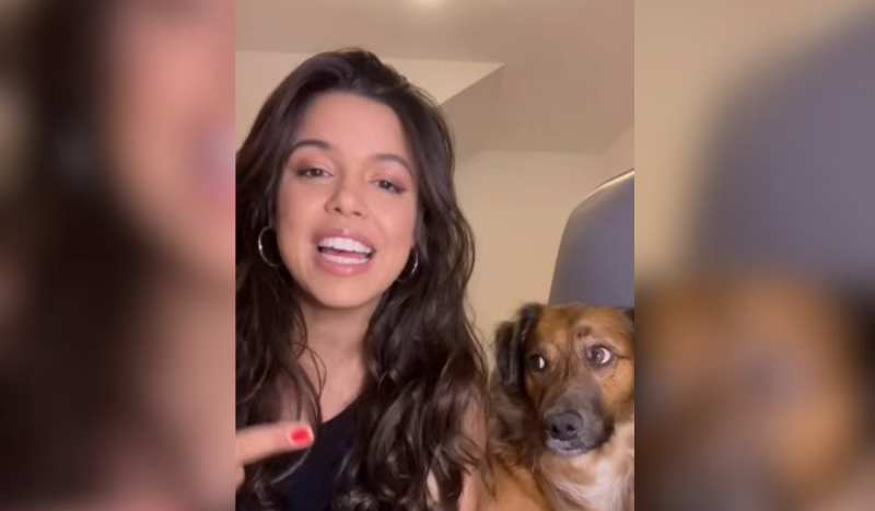 Cachorro fazendo cara de arrependido ao lado da tutora enquanto ela aponta para ele
