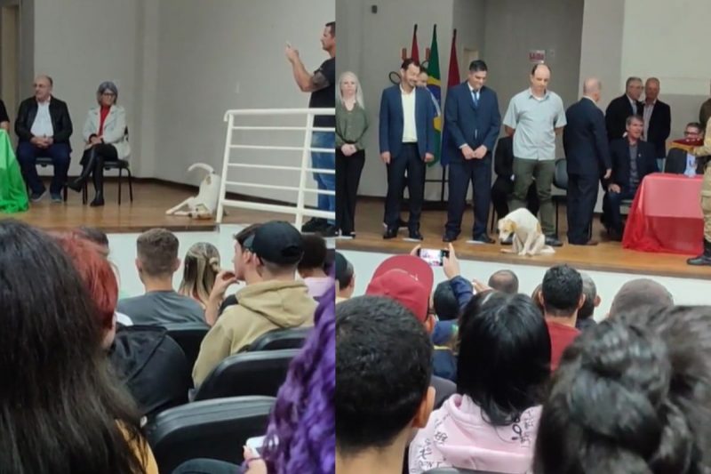 Cachorro “sapeca” invadiu palco de evento – Foto: Reprodu&ccedil;&atilde;o/Redes Sociais/ND